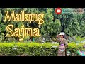 MALANG SAJNA DANCE COVER SHIVANGI SHARMA CHOREOGRAPHY FT
