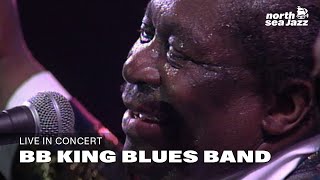 BB King Blues Band - 'Caldonia' [HD] | North Sea Jazz (1993)