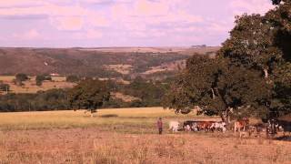 Mar verde | Sala de Notícias - Canal Futura