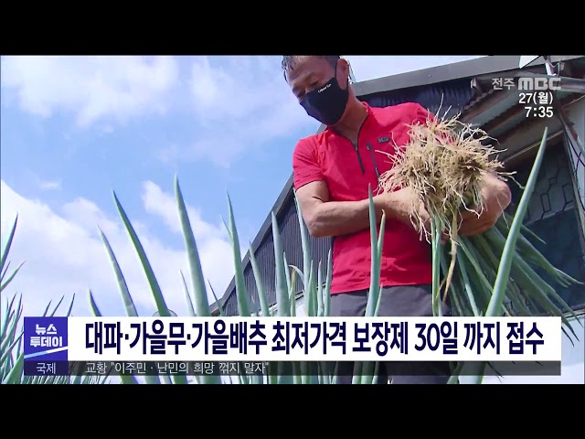 대파·가을무·가을배추 최저가격 보장제 30일 까지 접수