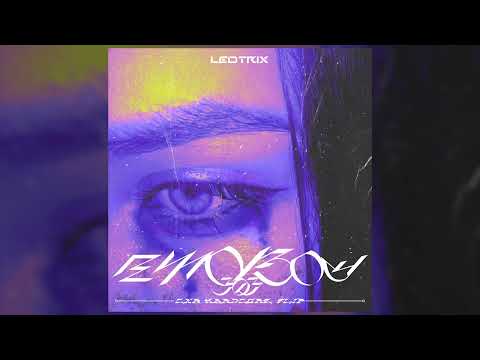Leotrix - Emoboy303 (CXB Hardcore Dubstep Flip)