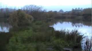 preview picture of video 'Blake Hall Fishery Pennsala'