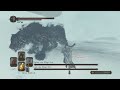 One Boss A Day | Day 489 | Dark Souls 2 - Lud and Zallen, the King's Pets