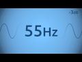 55 Hz Test Tone
