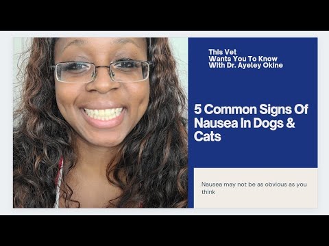 5 Common Signs Of Nausea In Dogs & Cats