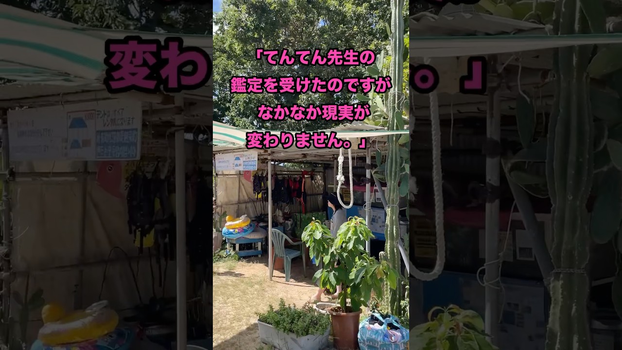 「てんてん先生の鑑定を受けたのですが なかなか現実が変わりません。」 #お金を増やす #幸せ #開運