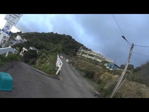 Panorama South coast of Wellington