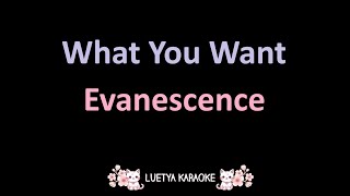 What You Want - Evanescence (Karaoke)