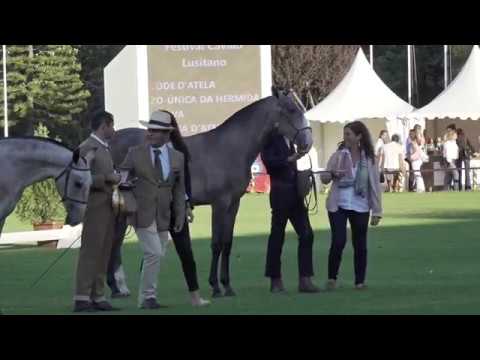 Ópera d'Atela - FIPSL 2019