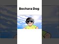 Bechara Dog Funny Funnyvideo Cartoon Hindi Reels Shortvideo Astrology Edit