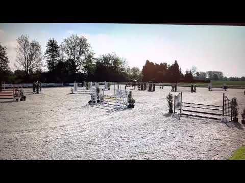 CAMPARI SODA (6yo Crumble) 28.05.21 Öpfingen - SPF A** 8,4