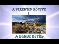 A Teremtés Könyve V Bűnbe Ejtés Berkes Sándor