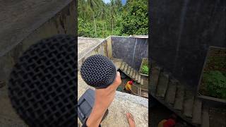 Download lagu Call Papa Adit using speaker #trendingshorts mp3