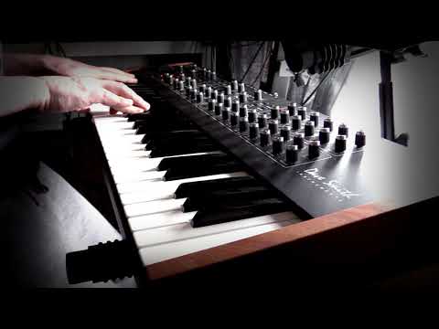 Dave Smith Instruments Prophet Rev2: Lush brass pads