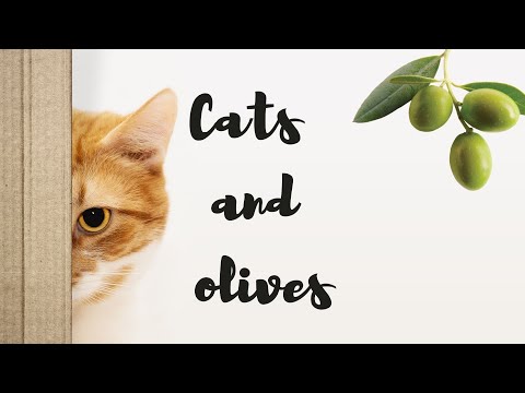 CATS AND OLIVES. OLIVES OR CATNIP? WHAT DO THEY LIKE MORE ?