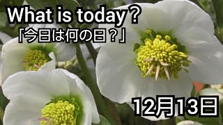 【What is today?】今日は何の日?(1213)|YouTube掲示板《ヒントストック》