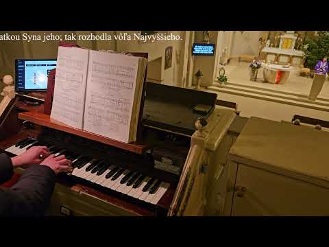 JKS 19 - Po zlom páde