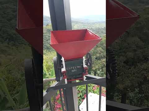 paisaje de Buenavista Quindío