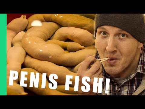 Penis Fish (개불) - South Korea [Best Ever Food Review Show]