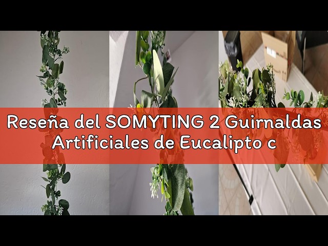 Vídeo relacionado con Rackumic Lechuga artificial, 3 piezas de accesorios de fotografía de verduras falsas, plástico, verde, 19 cm, para bodas, fiestas, reuniones familiares, eventos, decoración creativa de escenas de