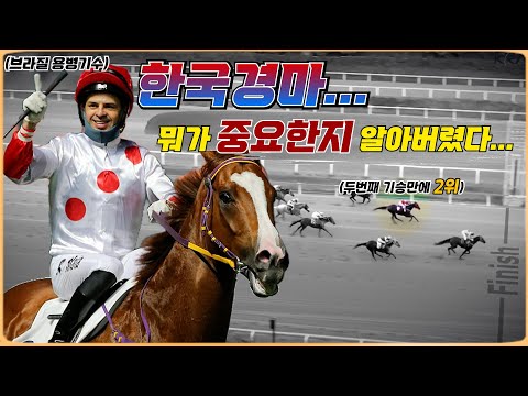 독기품고 한국왔다!! 한국경마 특징 벌써 눈치챈 용병기수!! #박수홍경마