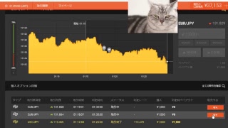 【FX】1万円から始める為替取引【BO】55