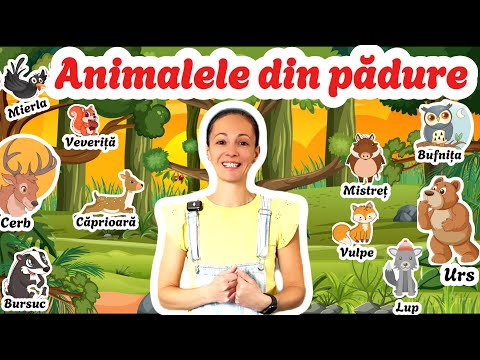Animalele din pădure pentru copii 🌲 | Urs, lup, veveriță, cerb, vulpe și altele | Video educativ