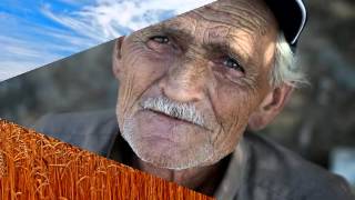 Barbara Fairchild Vincent