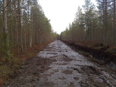 Metsolan Metsäkoulu 80, Ojitus kemerahankkeena