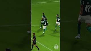 HIGHLIGHTS | PALMEIRAS 2 X 1 GREMIO | BRASILEIRO 2026