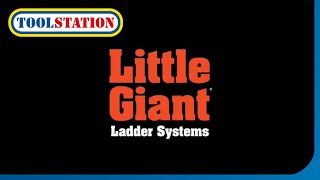 Little Giant