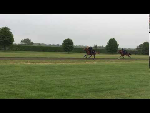 Investec Derby 2016: Ulysses gallop