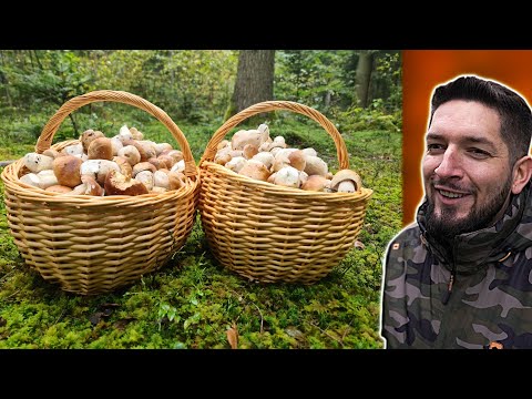 MY BEST MUSHROOM PICKING EVER! BASKETS FULL OF MUSHROOMS!