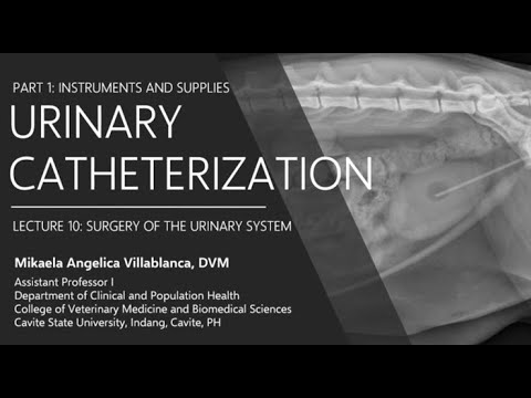 Lecture 10.2 Urinary Catheterization Instrumentation