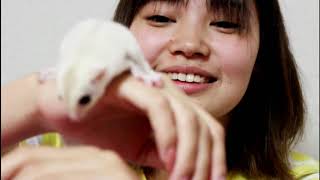 新しい家族のフクロモモンガ クリミノと遊ぼうとしましたが・・・