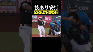 【秘打】止めたバットで生み出したヒット #shorts