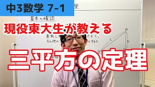 サンプル動画