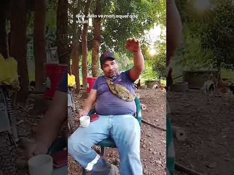 Los Misterios de la Palma Narración: (Proyecto Voces de Pelaya) Jóvenes por el cambio 2025.