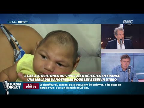 Alerte au virus Zika en France: "C'est la premiere fois que le virus entre en Europe"