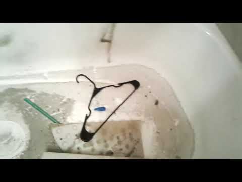 House conditioms at 5806 S. Abredeen Street in Chicago