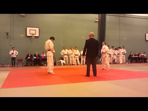 USIST XVII, 2014   University of Sheffield, Team B in blue