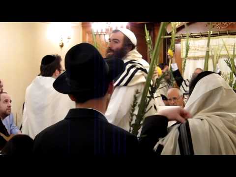 Hoshana Raba 2011 at the Carlebach Shul, NYC (4)