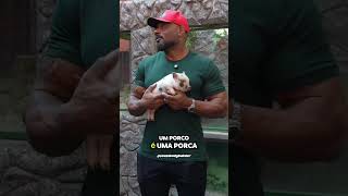 Júlio Balestrin ganhou uma porquinha do Richard Rasmussen! 😍 #shorts