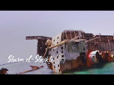 Sharm el sheikh - May 2019 - Boys first/intro dive - Red Sea - Egypt