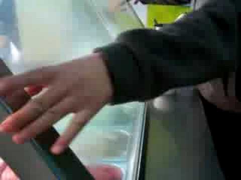 Random Ice Cream video