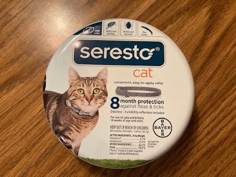 How to Tell if your Seresto Cat Collar is REAL vs. FAKE - 2020