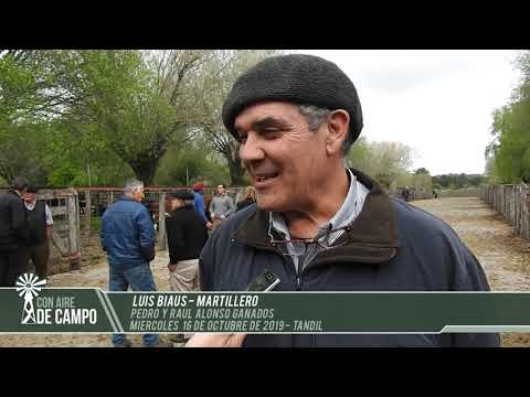 Luis Biaus - Pedro y Raúl Alono Ganados - Miércoles 16 de octubre de 2019 - Tandil