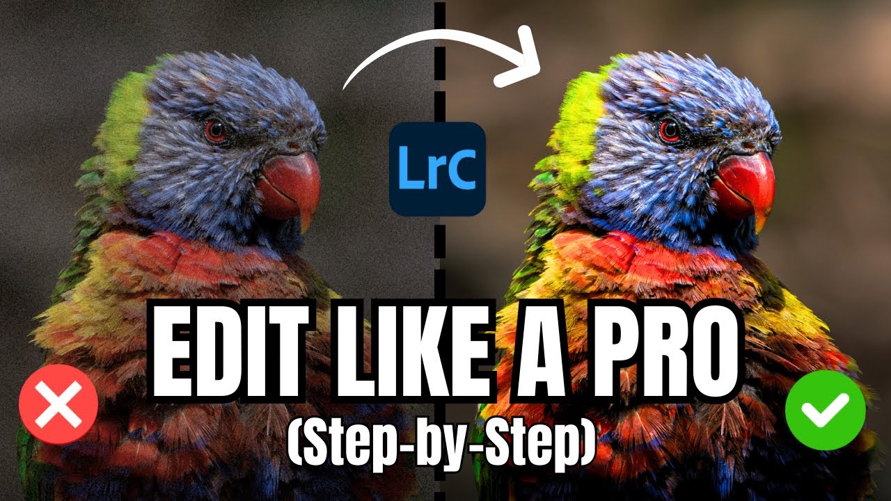 EDITING BIRD PHOTOS IN LIGHTROOM CLASSIC: A Beginner's Step-By-Step Guide