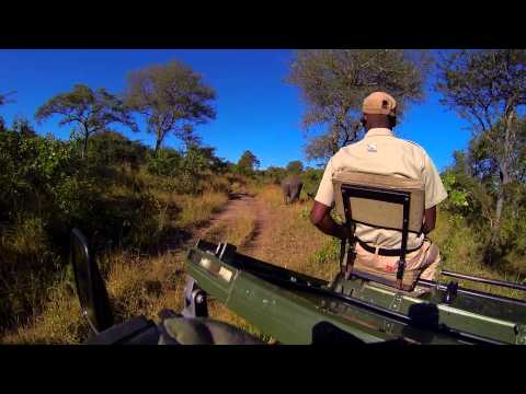 Pangea Trails Chapter (1/6) The African Bush by Project1977 Films HD 2013