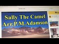 Sally The Camel